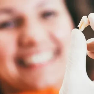 extractions-large extractions-large